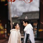 General Well Chinese Drama Poster